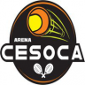 Arena Cesoca